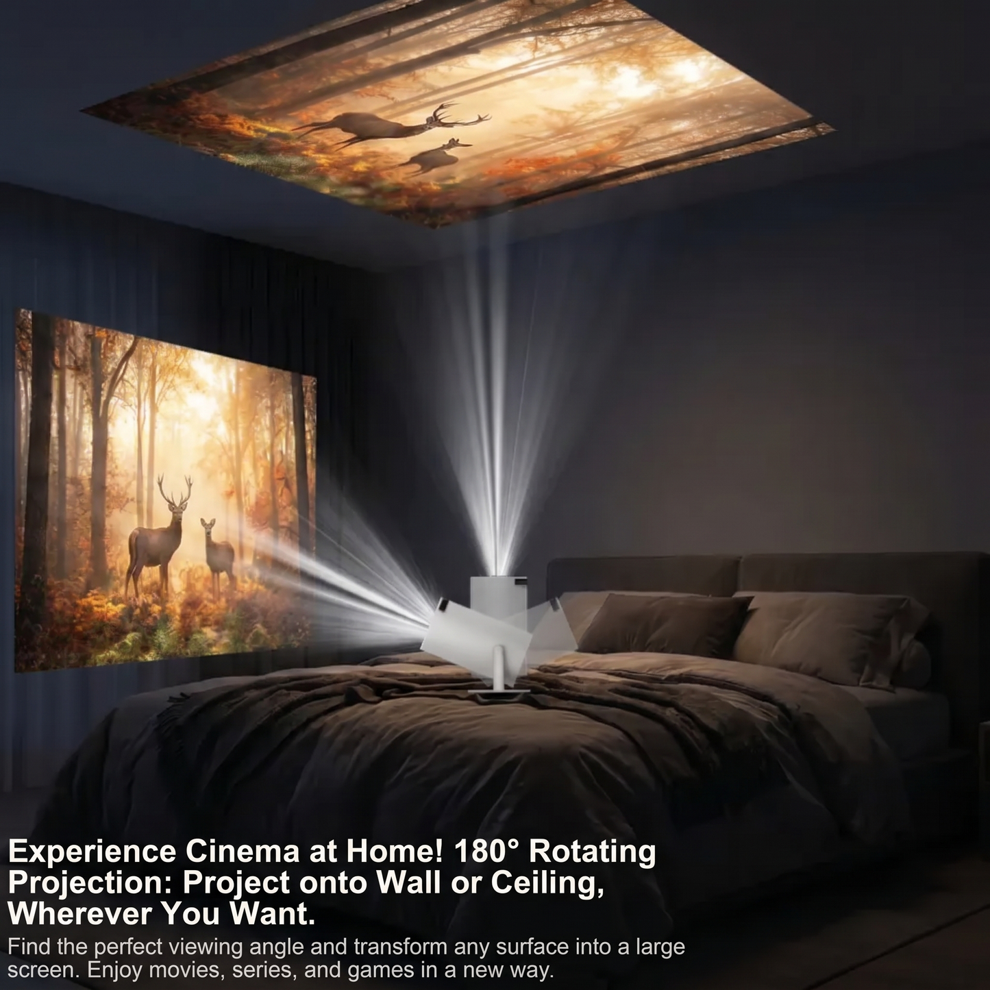 ProjectorX™ Videoprojector